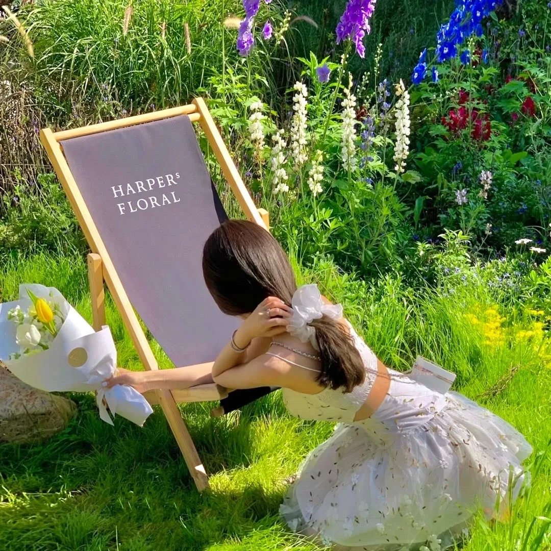 苍穹浩瀚第五季